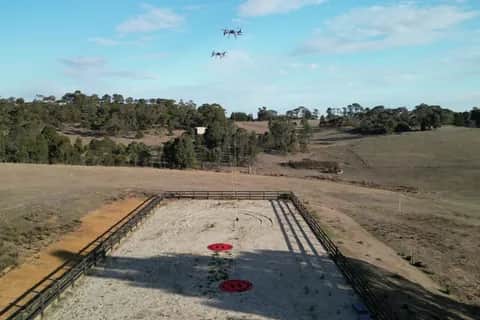 Two Callisto aircraft in the air above a paddock and a fenced landing area